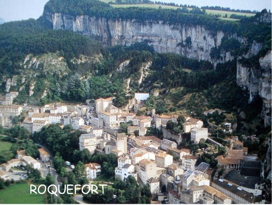 Les Palmiers Des Causses Saint-Rome-de-Tarn Exterior foto