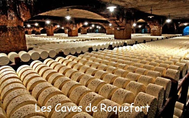 Les Palmiers Des Causses Saint-Rome-de-Tarn Exterior foto