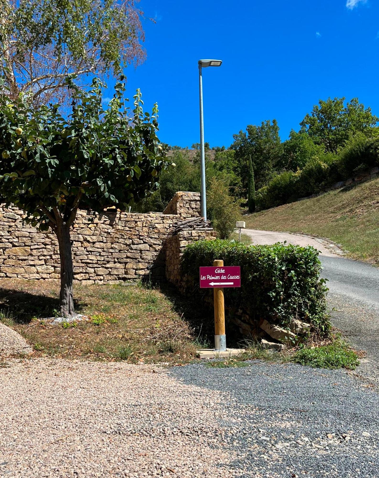 Les Palmiers Des Causses Saint-Rome-de-Tarn Exterior foto